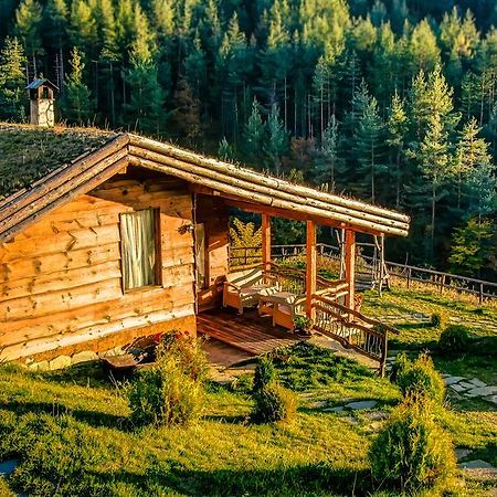 Панорама хаус Лещен и еко къщи Дървена и Землянка Экстерьер фото