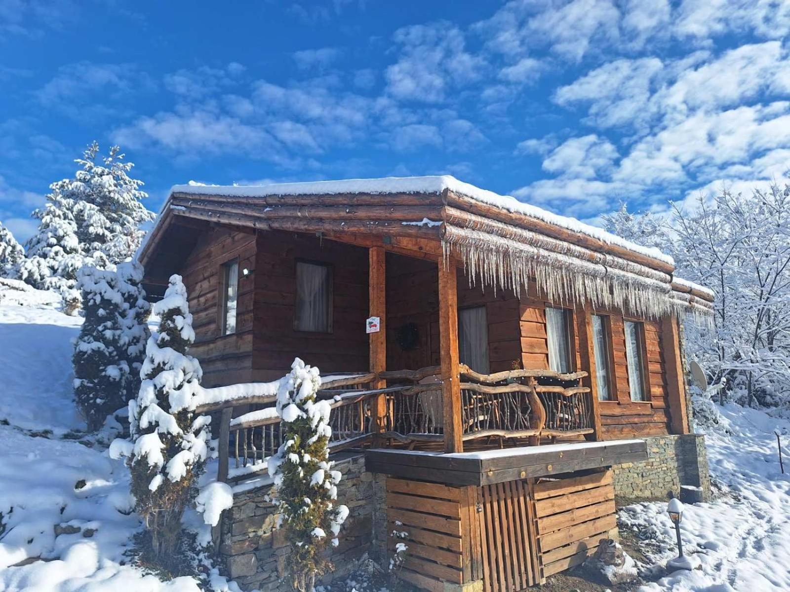 Панорама хаус Лещен и еко къщи Дървена и Землянка Экстерьер фото