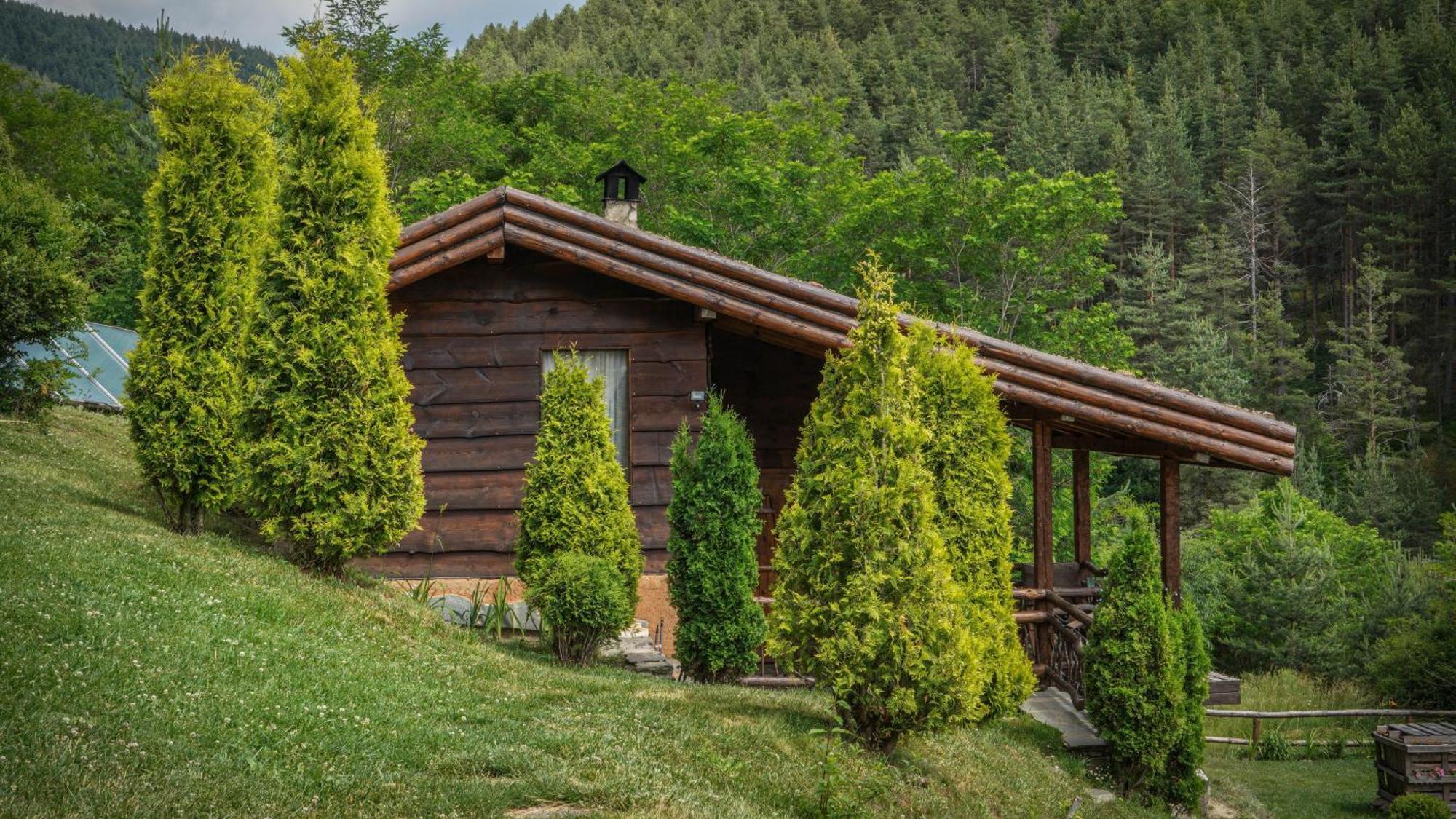 Панорама хаус Лещен и еко къщи Дървена и Землянка Экстерьер фото